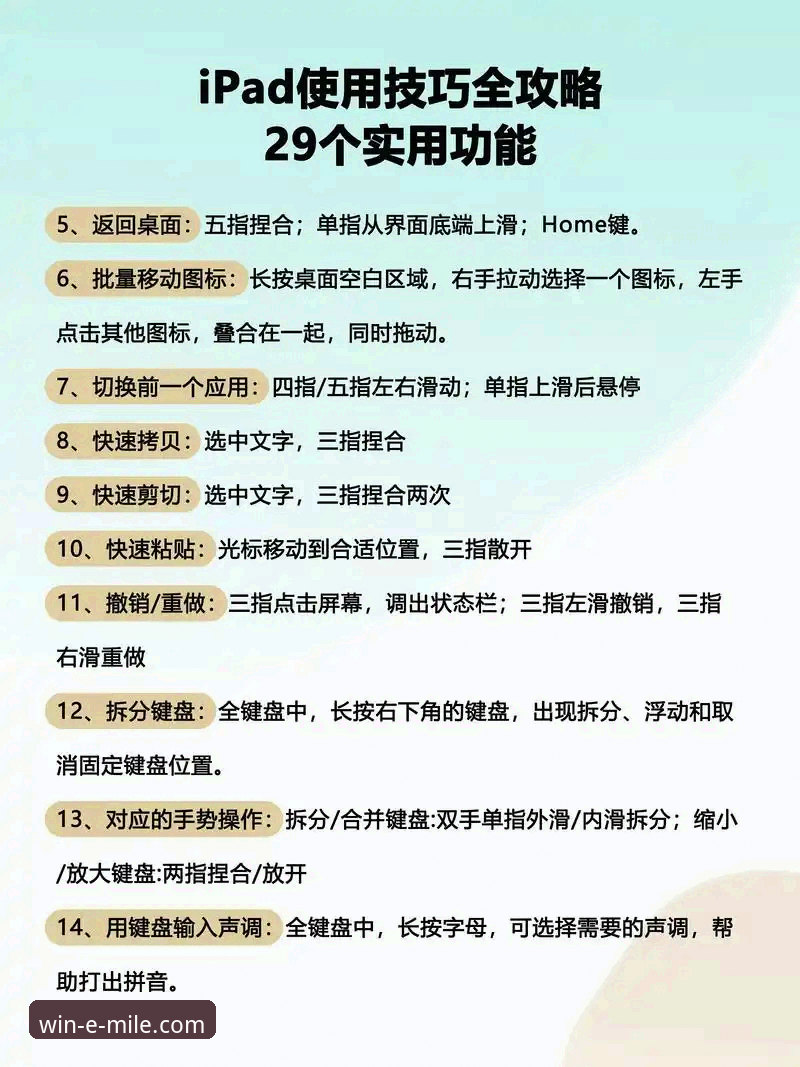 米乐体育平台使用完整指南：从入门到精通的官方教程
