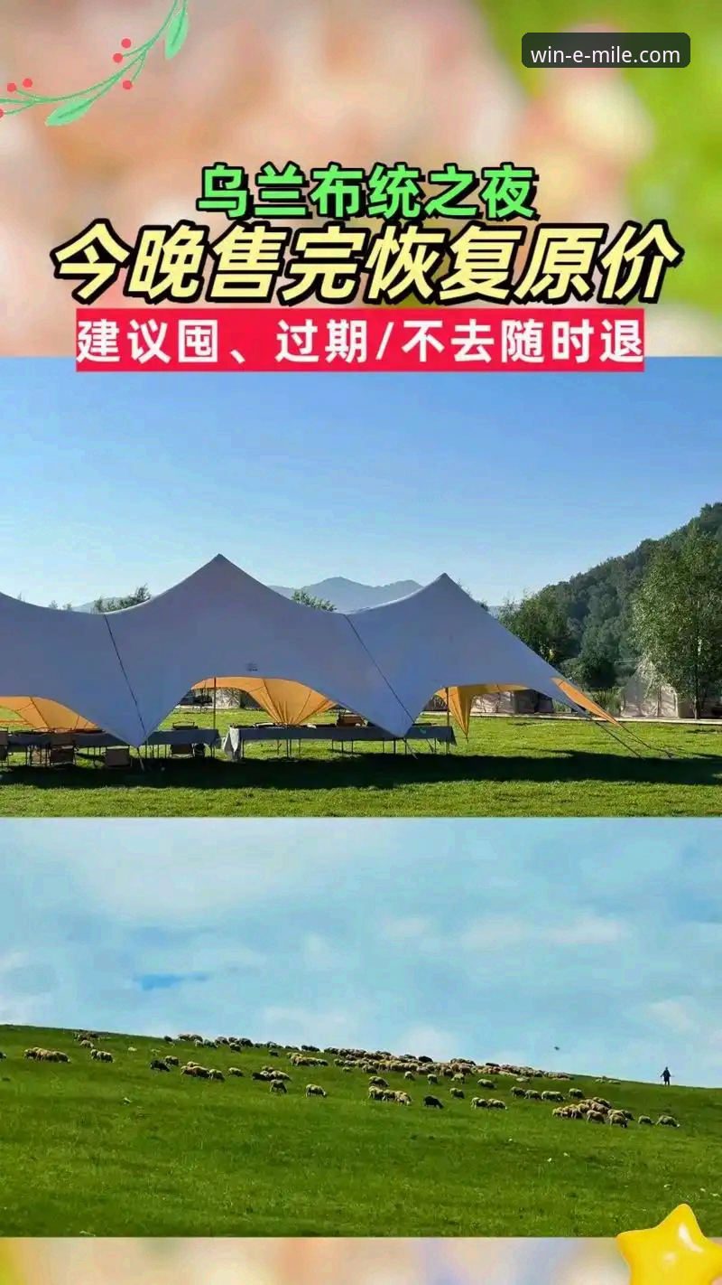 资深用户分享：2026米乐体育官网使用心得，助你避开常见坑点